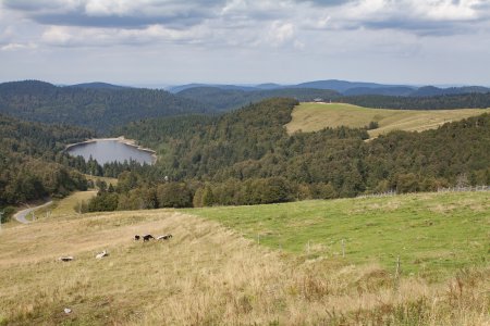 Mooie glooiende en groene hellingen